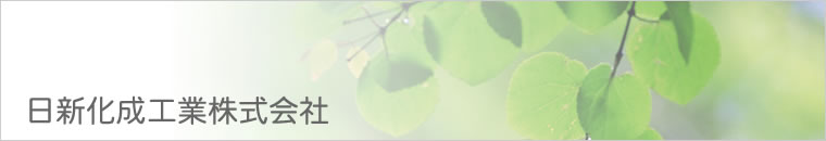 ���V�����H�Ɗ������